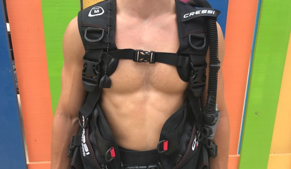 BCDs